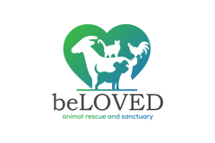 Beloved rescue Inc logo
