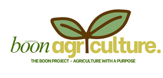 The Boon Project logo