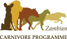 Zambian Carnivore Programme logo