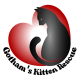 Gotham’s Kitten Rescue logo