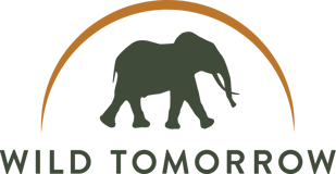 Wild Tomorrow logo