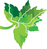 THE SOUTH FORK CONSERVANCY INCORPORATED logo