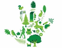 Nurturing Wonder PTO logo