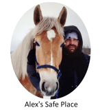 Alexs Safe Place logo