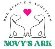 Novy's Ark logo