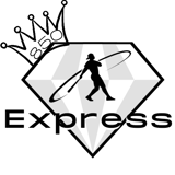 850 Express logo