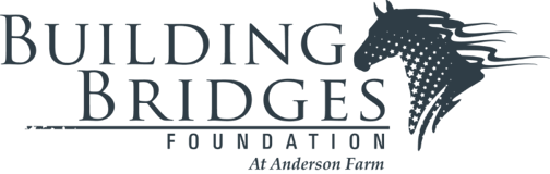 BUILDING BRIDGES FOUNDATION AT ANDERSON FARM logo