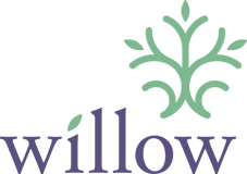 Willow Domestic Violence Center logo