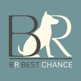 BR Best Chance logo