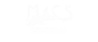 Marine Awareness and Conservation Society logo