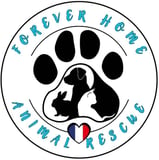 Forever Home Animal Rescue Inc logo