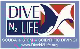 DiveN2Life Inc logo