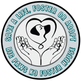 Big Paws K9 Foster House logo