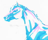 DREAMCATCHER HORSE RANCH RESCUE CENTER INC logo