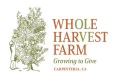 Whole Harvest Farm logo