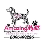 Amazing Mutts Puppy Rescue, llc. logo