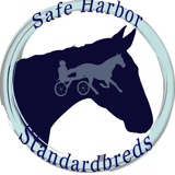 Safe Harbor Sanctuary logo