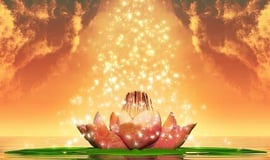 Divine Flow Outreach Services Unlimited logo