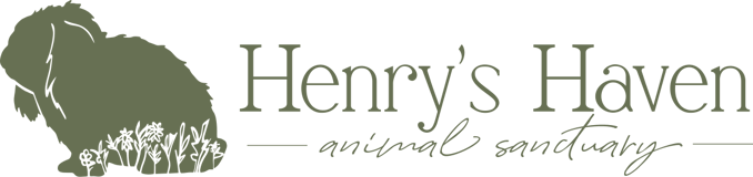 Henry's Haven logo
