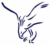 Exeter High School Football Booster Club logo