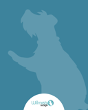 Wilma's Wags logo