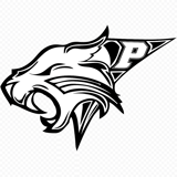 Pinelands Jr Wildcats Cheerleading logo