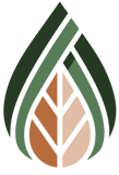 Palm Leaf Organization logo