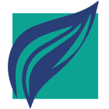 Webster Arts logo