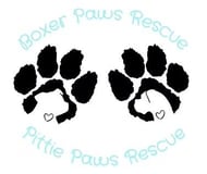 Boxer Paws Rescue logo