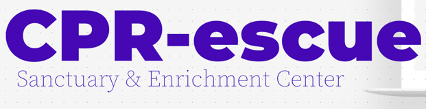 Conscious Paws Rescue logo