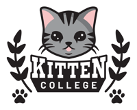 National Kitten College logo