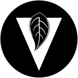 The Vine Church Inc logo