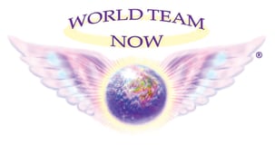 WORLD TEAM NOW logo