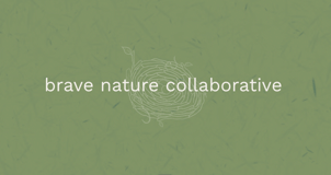 Brave Nature Collaborative logo