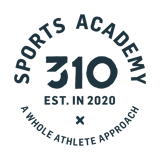 310 Sports Academy logo