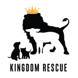 Kingdom Rescue logo