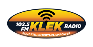 Voice of Arkansas Minority Advocacy Council logo