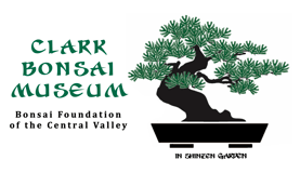 Bonsai Foundation of the Central Valley logo