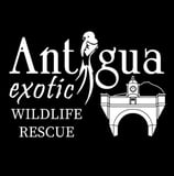 Antigua Exotic Wildlife Rescue logo