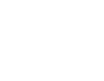 Merlin Metalworks logo