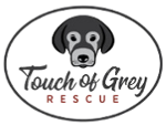 Touch Of Grey Rescue logo