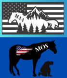 Mustang Adoption Academy Corporation logo