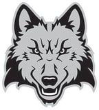 Community Impact, Madison College logo