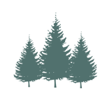 Jeffrey L. Nissen Arts Education and Development Fund, Inc. logo