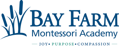 Bay Farm Montessori Academy Inc logo