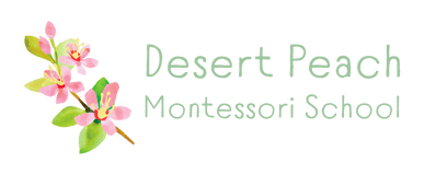 Desert Peach Montessori logo