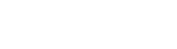 Make-A-Wish Foundation of North Texas logo