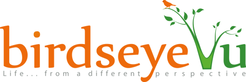 BirdseyeVu logo