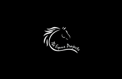 Equus Projects Inc logo