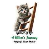 Ladder of Life A Kittens Journey logo